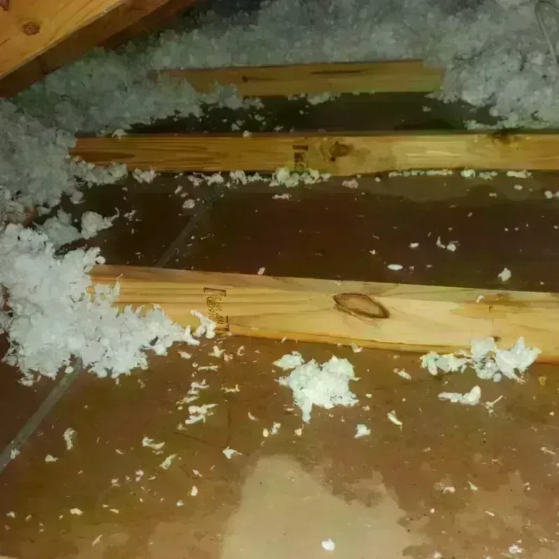 Attic Water Damage in Farrell, PA